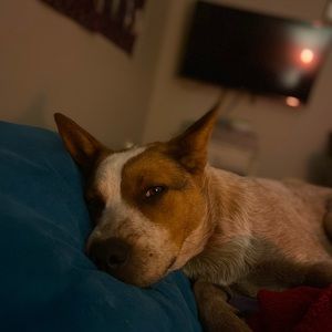 Meet your Posher, Lydia